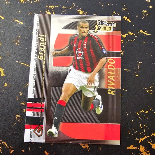 Rivaldo panini calcio cards - rivaldo,