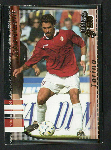 Calcio cards 2003 - cards,