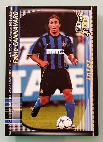 Cannavaro calcio cards panini - cannavaro,