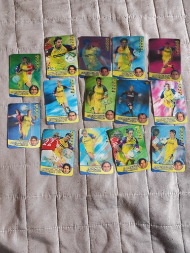 Calcio animotion 2003 - animotion, 2003/2004